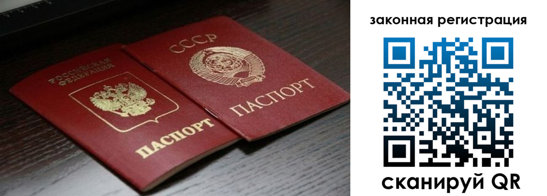 прописка поиск в Волоколамске